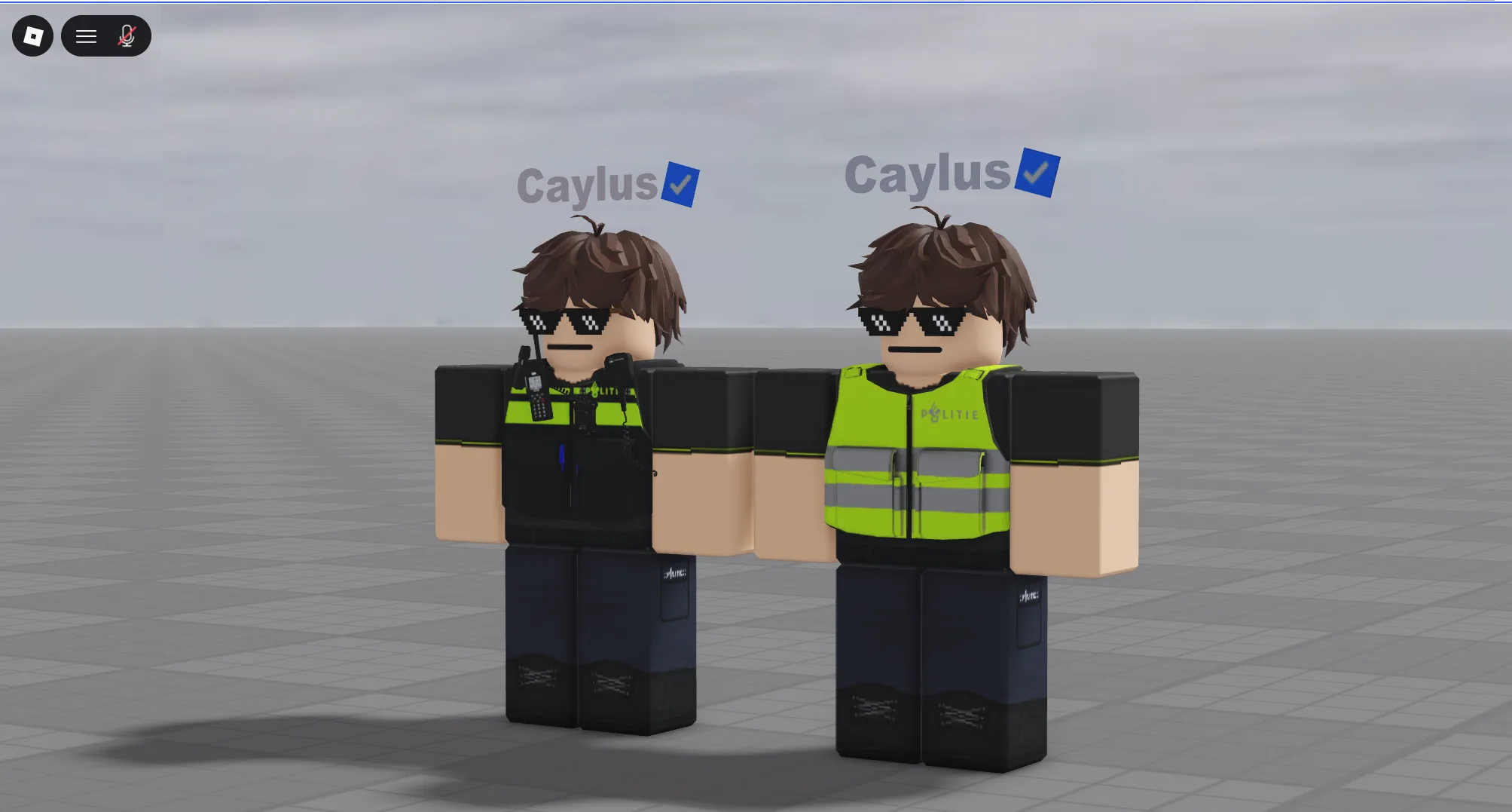 Politie vest ( Pack & Gear )